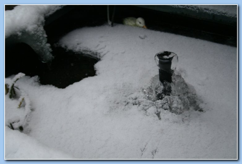 Arnhem Snow 047